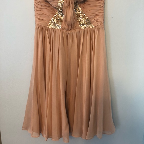 Rebecca Taylor Blush Pink Dress - Picture 4 of 4